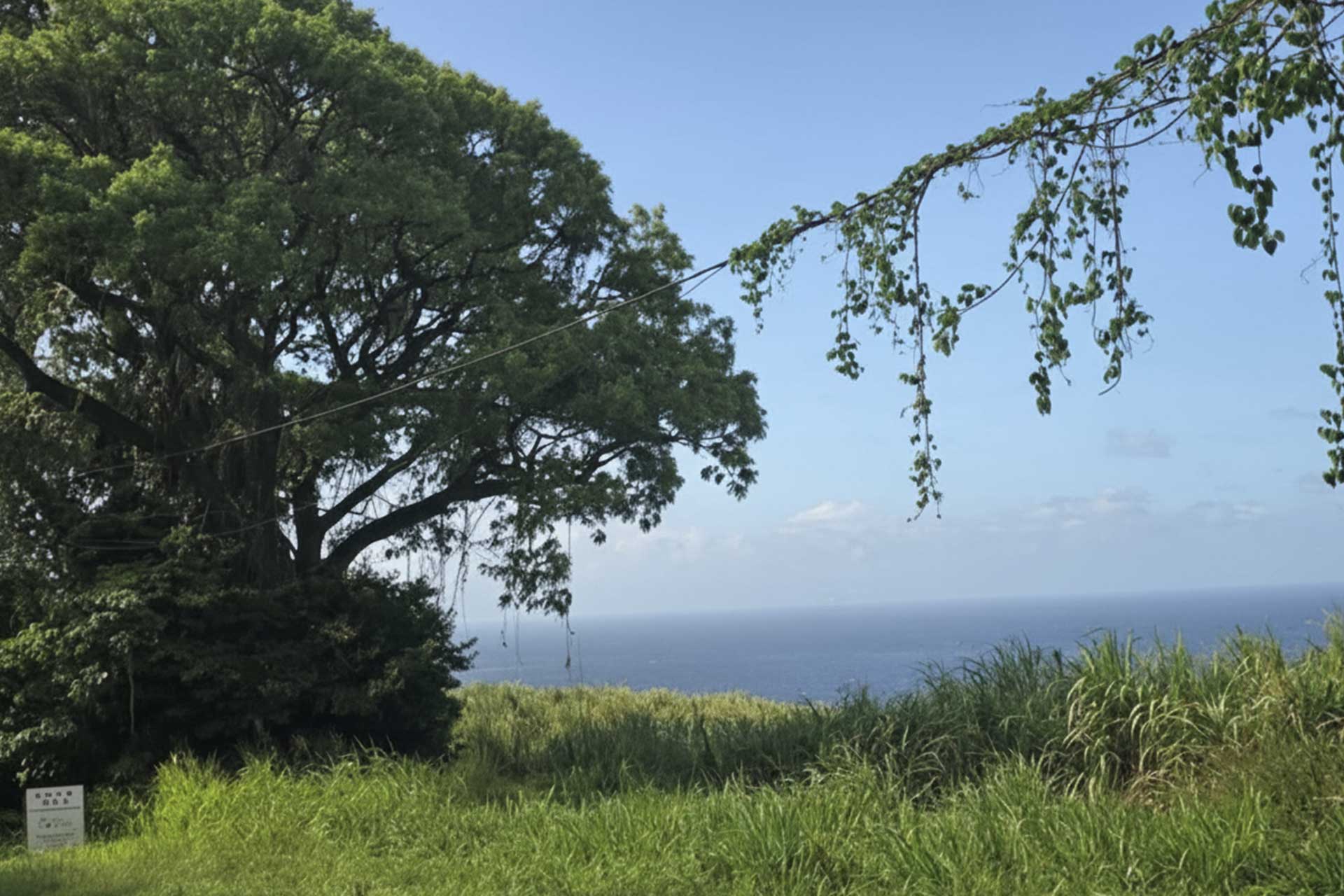 Revitalisation démographique & urbanisme